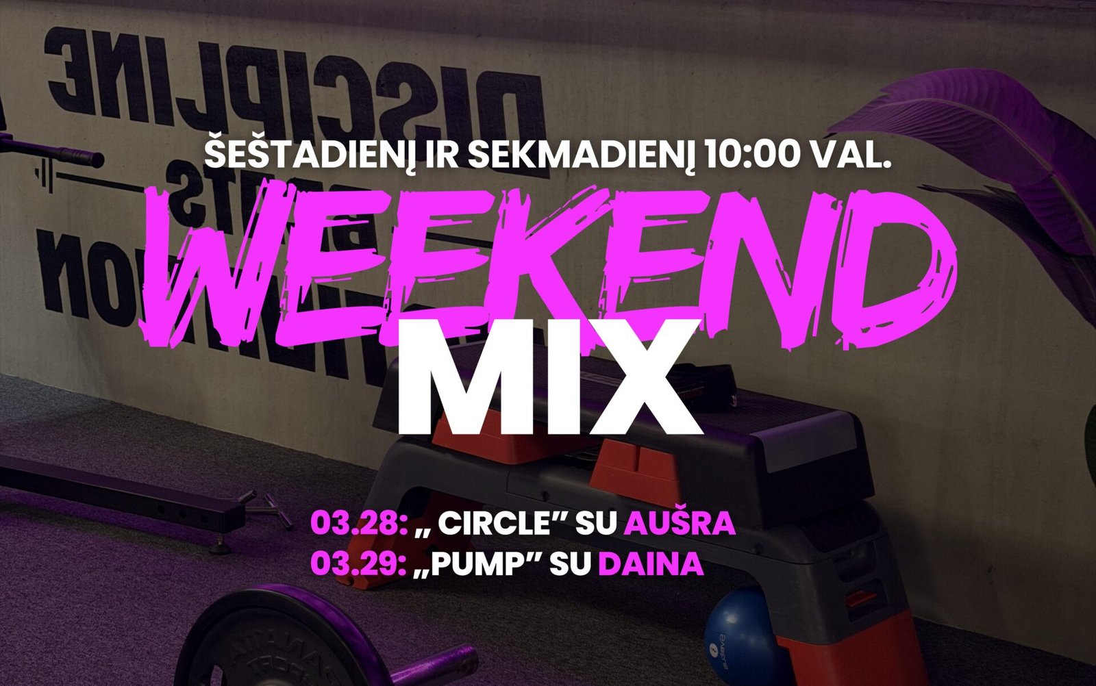 GYM HUB grupinės treniruotės kovo 28 ir kovo 29 d.