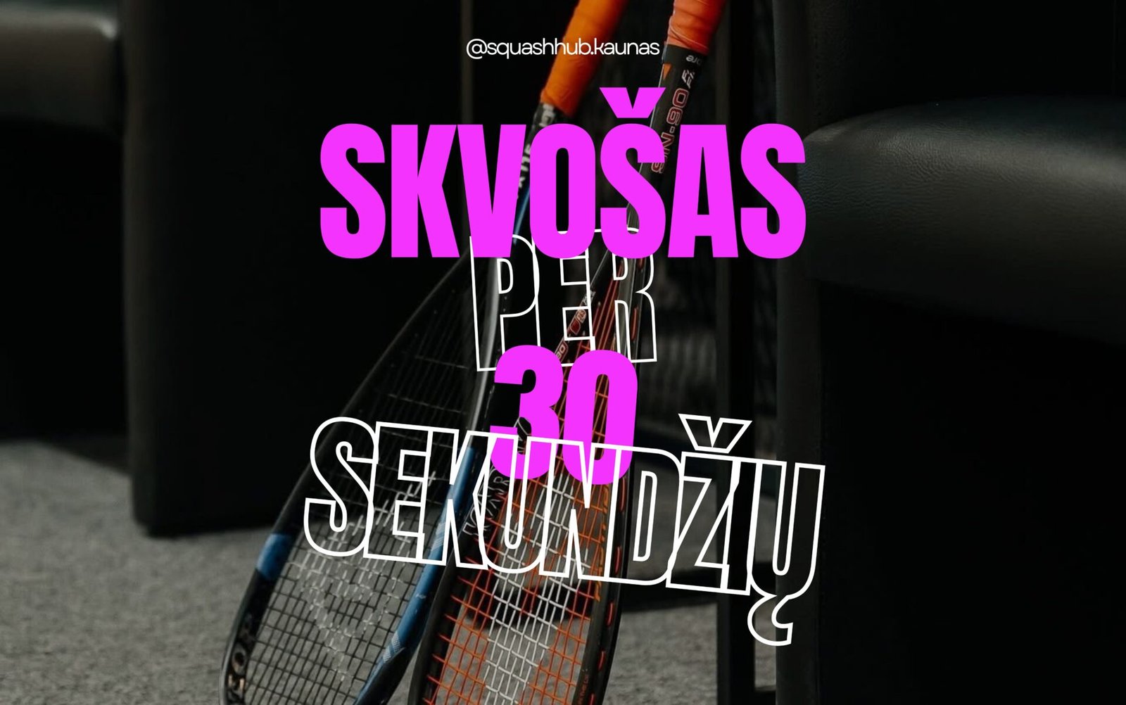 Kas yra skvosas