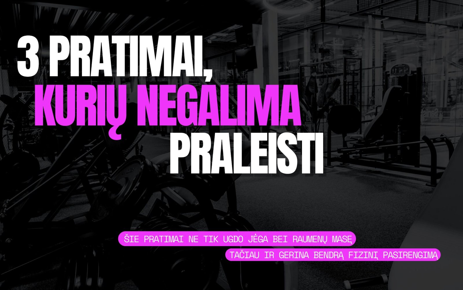 svarbiausi gym pratimai